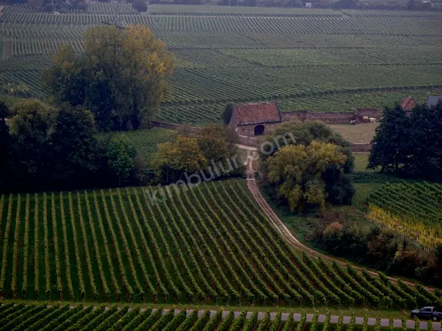 Muratpaşa 1.600 m² Satılık Depo & Antrepo İmarlı Arsa — fotoğraf 3