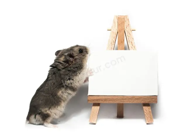 Hamster & Gerbil — 6-12 Ay, Belirtilmemiş — fotoğraf 2