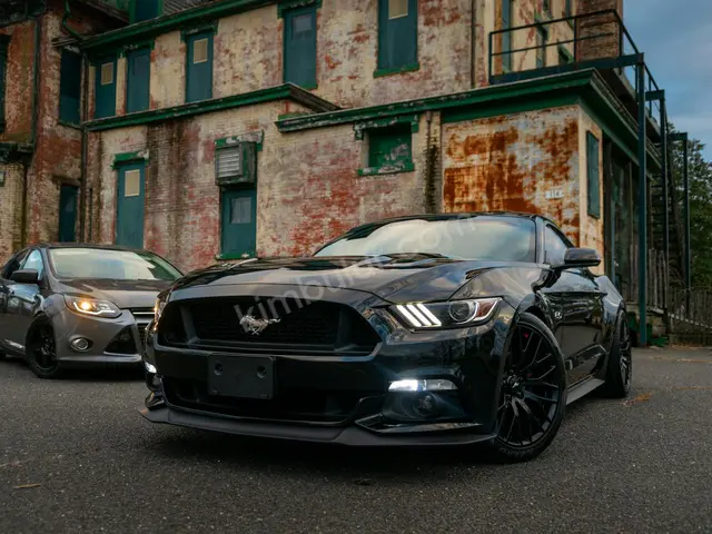 2010 Ford Otomobil — Engelli Plakalı, Direksiyon Topuzu