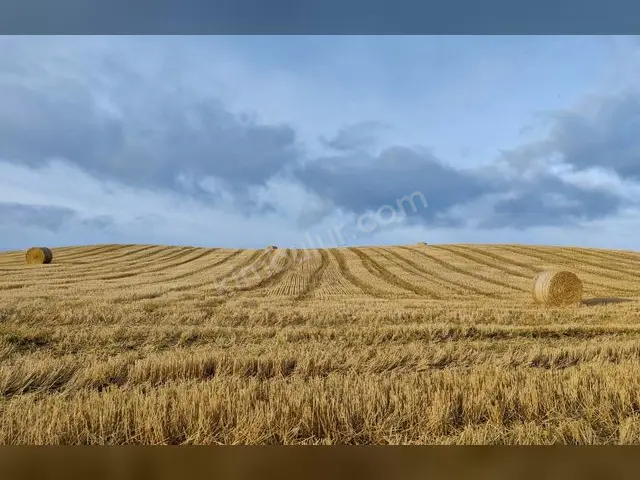 Mazıdağı 20.850 m² Satılık Konut İmarlı Arsa