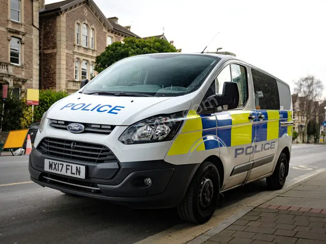2014 Ford Transit Connect Executive — Masrafsız