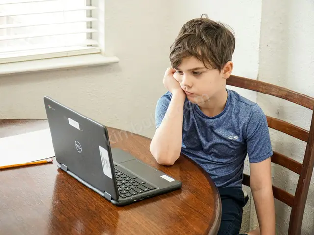 İlkokul & Ortaokul Özel Ders · Ümraniye — Üniversite, Online — fotoğraf 2