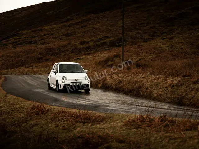 2010 Fiat Design — Az Yakan