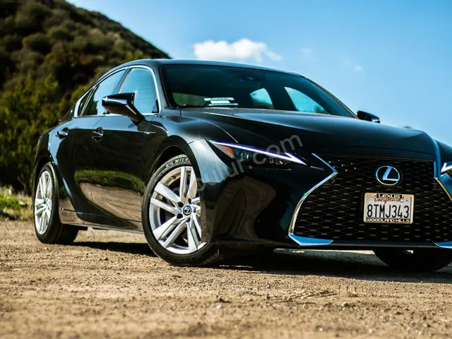 2022 Lexus UX Executive — Tramer Kaydı Düşük
