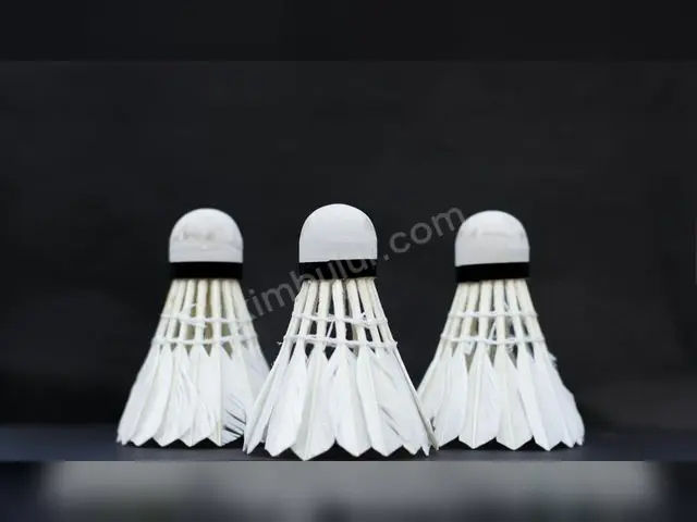 Kamp & Outdoor · Mamak — Arızalı / Parça, Kutulu — fotoğraf 3