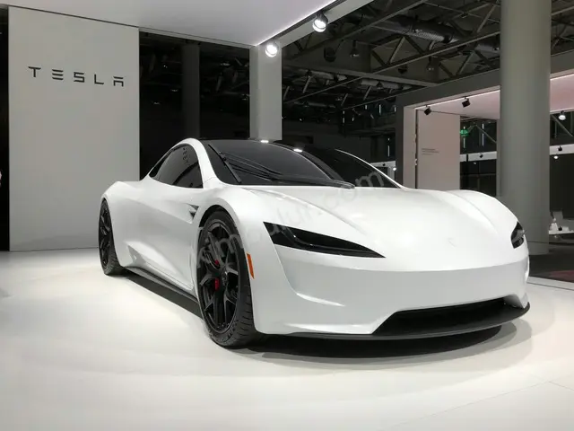 2020 Tesla Model 3 Design — Az Yakan