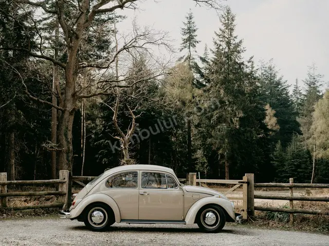 2022 Volkswagen Bora Urban — İlk Elden — fotoğraf 3