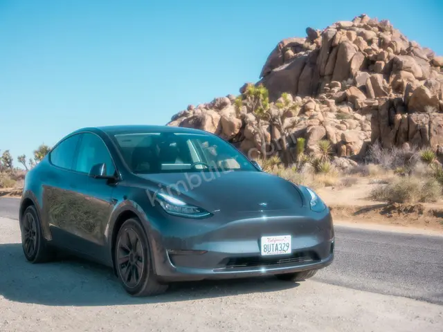 2020 Tesla Model 3 Prestige — Bakımları Yeni — fotoğraf 2