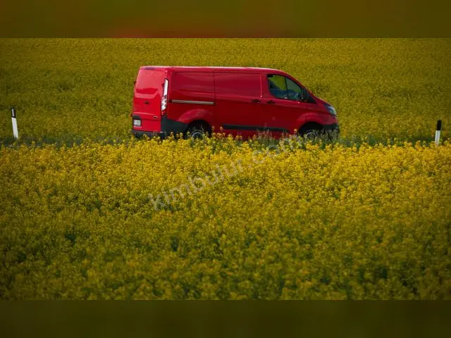 2017 Toyota Minivan — Engelli Plakalı, Direksiyon Topuzu — fotoğraf 2