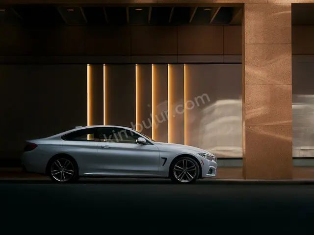 2011 BMW 4 Serisi Elite — Masrafsız