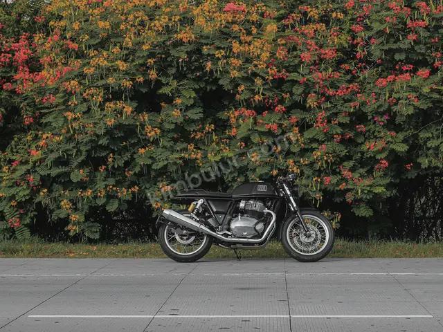 2024 CFMoto — Az Yakan — fotoğraf 4