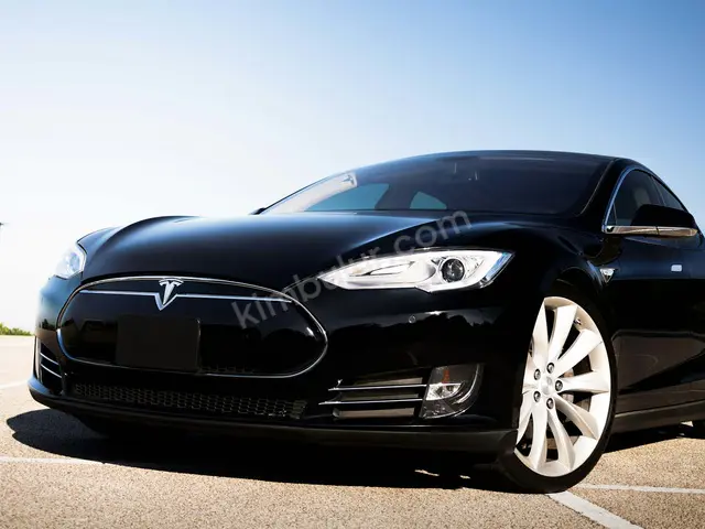 2016 Tesla Model X Design · Sur — Tramer Kaydı Düşük — fotoğraf 2