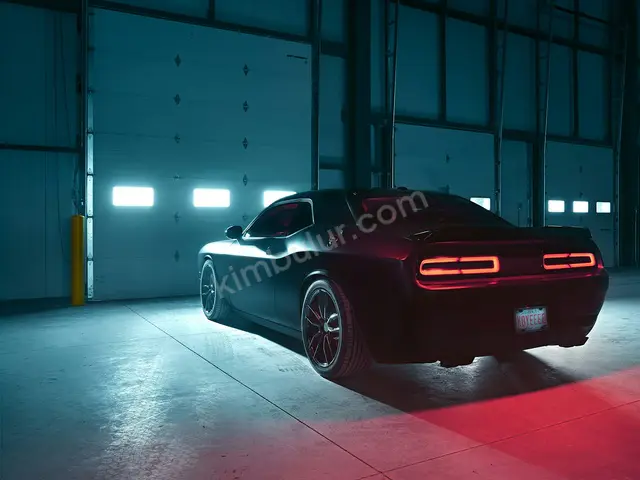 2020 Volkswagen Otomobil — Engelli Plakalı, Direksiyon Topuzu — fotoğraf 2