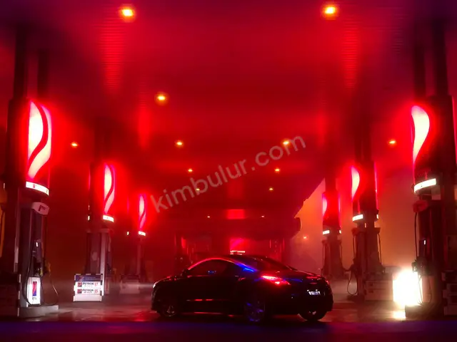 2018 Peugeot 306 Design — Tramer Kaydı Düşük — fotoğraf 2