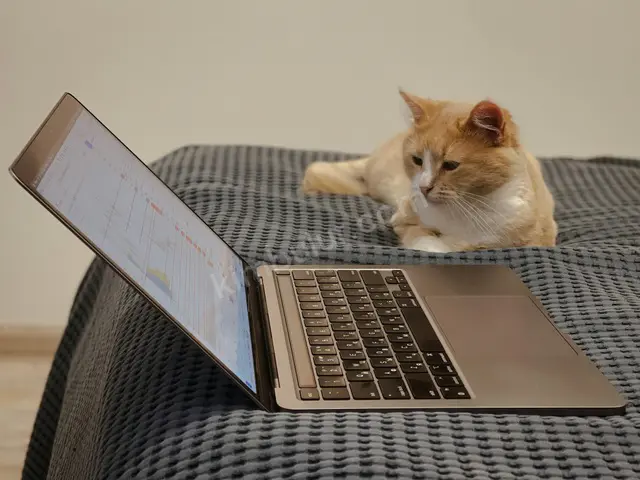 Mini PC & İş İstasyonu · Bağlar — Arızalı / Parça, Faturalı — fotoğraf 3