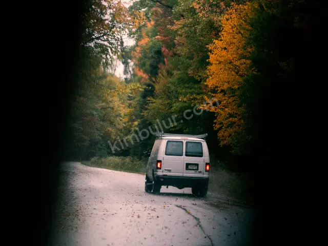 2022 Renault Kangoo Design — Tramer Kaydı Düşük