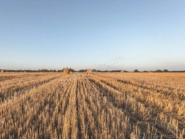Kızıltepe 20.700 m² Satılık Konut + Ticari İmarlı Arsa