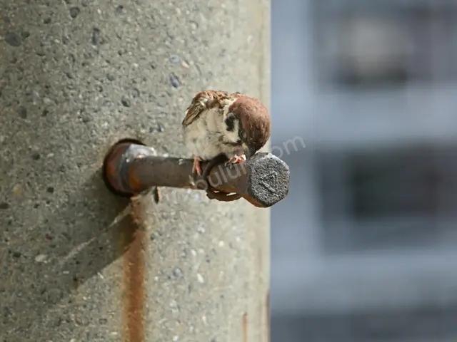 Odunpazarı Sünnet Organizasyonu Hizmeti — Deneyimli Ekip — fotoğraf 3