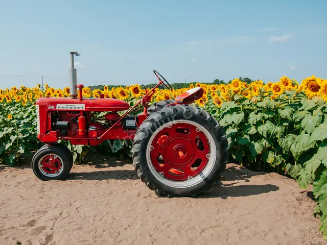 2015 Model Biçerdöver — 550 Saat — fotoğraf 3