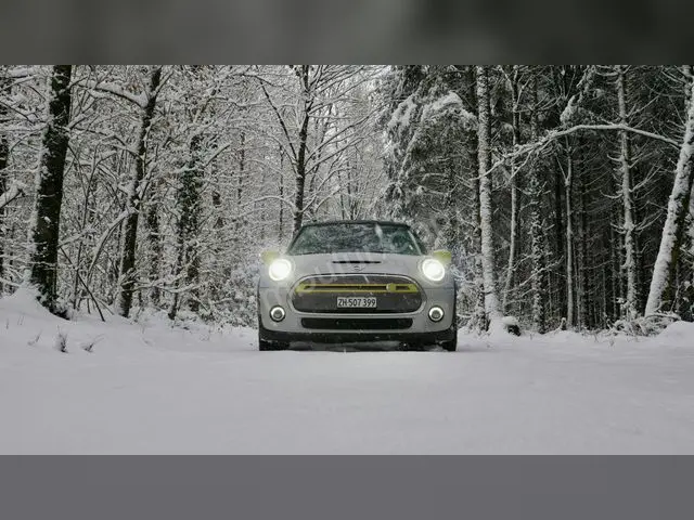2010 MINI Cooper Elite — Garaj Aracı — fotoğraf 2