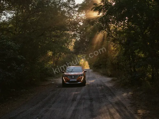 2018 Peugeot 308 Prestige — Bakımları Yeni