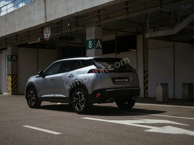 2019 Peugeot 301 Elite — Az Yakan