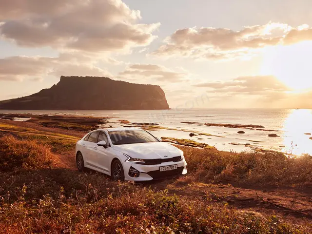 2016 Kia Sportage Style — Bakımları Yeni — fotoğraf 3