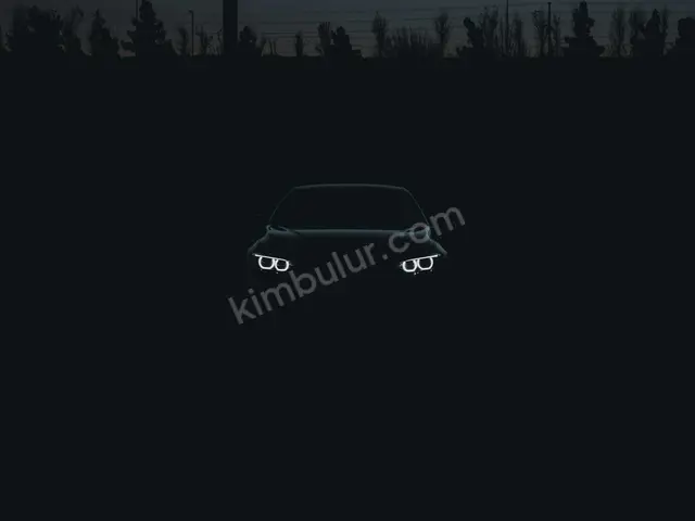 2015 BMW 4 Serisi Style — Masrafsız — fotoğraf 2
