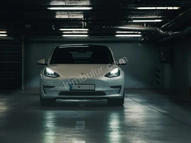 2011 Tesla Model 3 Style — Değişensiz — fotoğraf 4