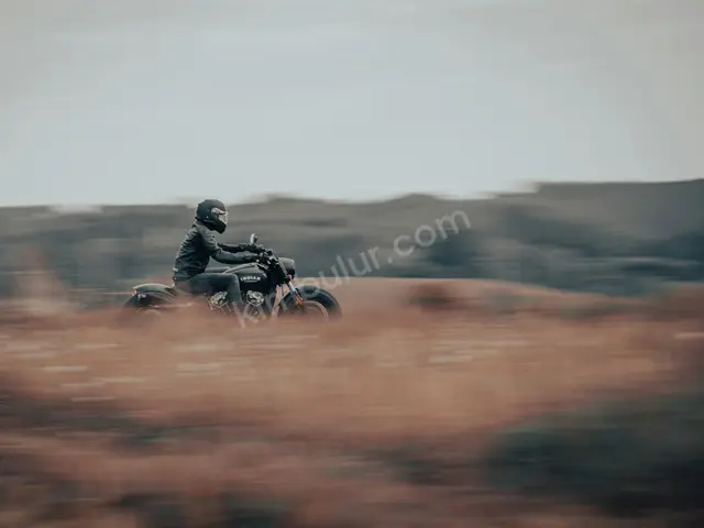 2014 Bajaj — Tramer Kaydı Düşük