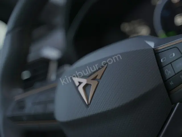2013 Cupra Born Prestige — İlk Elden — fotoğraf 2