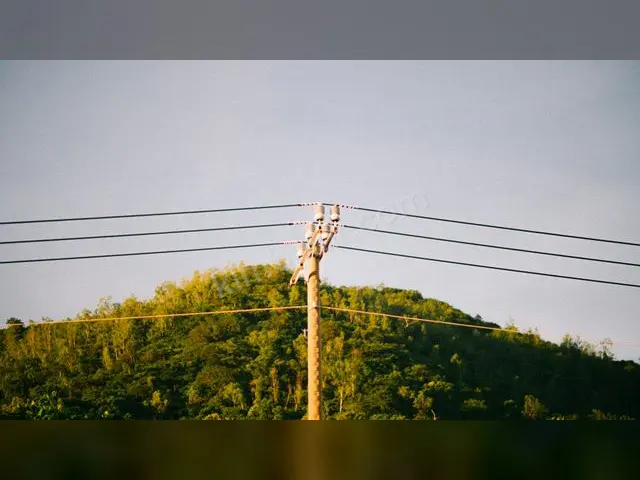 Yunusemre SEO & Dijital Reklam Hizmeti — Garantili İşçilik — fotoğraf 3