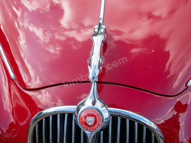 2023 Jaguar XJ Comfort — Masrafsız — fotoğraf 2