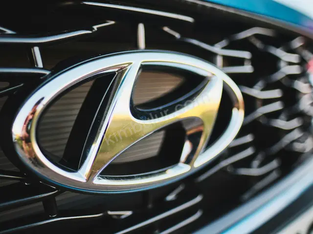 2010 Hyundai Accent Design — Tramer Kaydı Düşük — fotoğraf 2