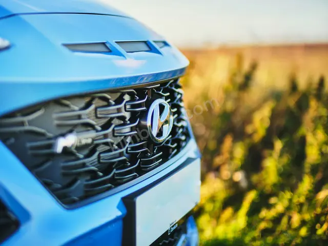 2020 Hyundai Accent Blue Titanium — Garaj Aracı