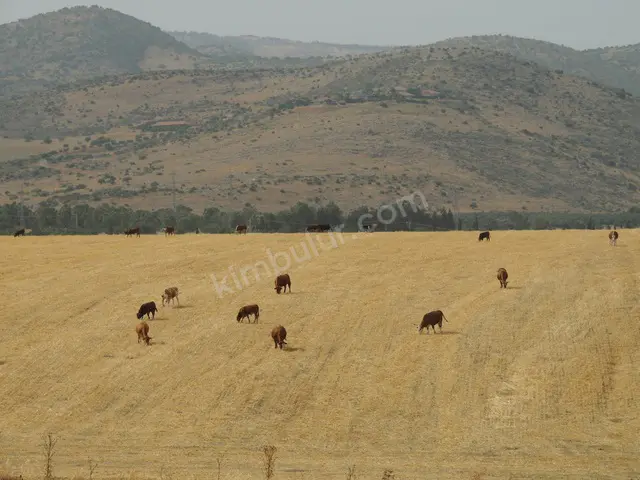 Özalp 16.900 m² Kiralık Konut İmarlı Arsa — fotoğraf 2
