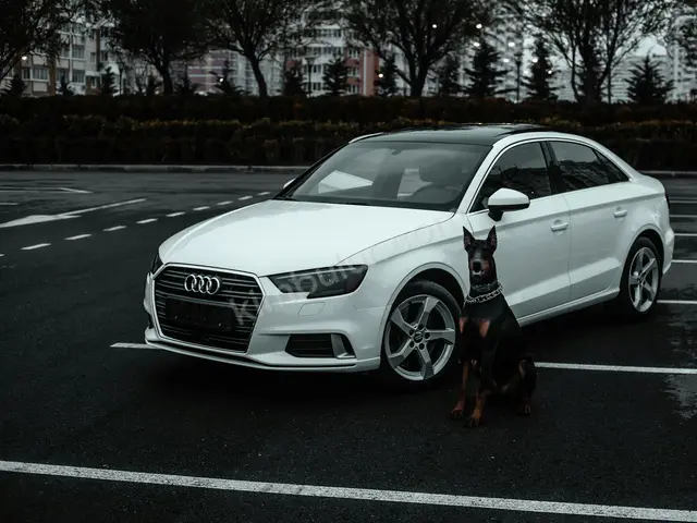 2013 Audi S Serisi Elite — Garaj Aracı