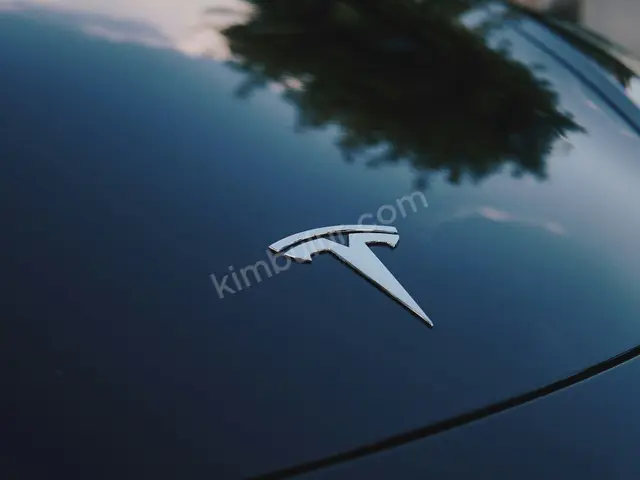 2018 Tesla Executive — Masrafsız — fotoğraf 3