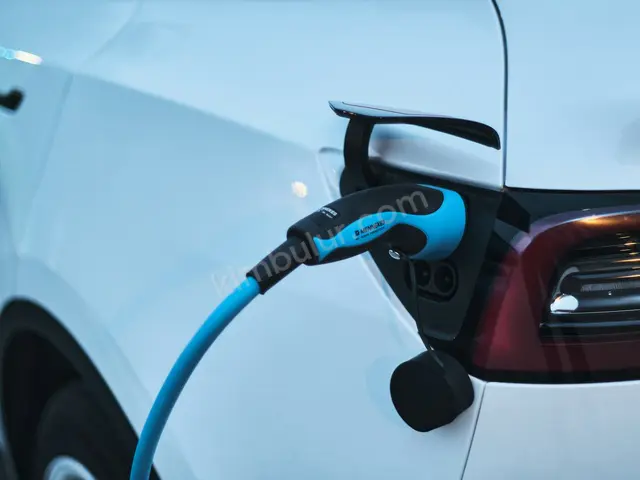 2024 Tesla Model X Style — Değişensiz — fotoğraf 2