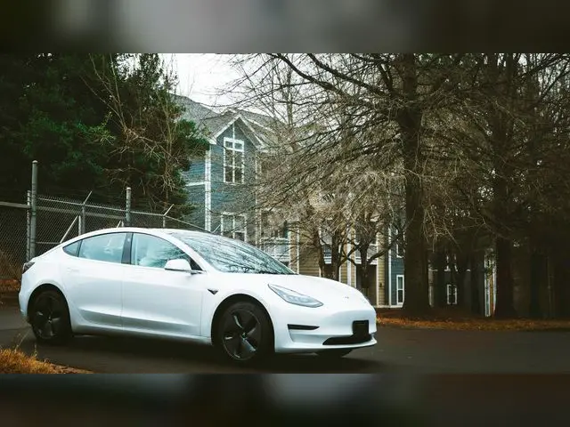 2015 Tesla Model X Urban — Bakımları Yeni