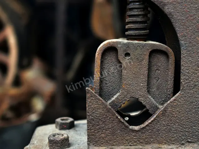 2010 Model Elektrik Motoru & Redüktör — 1.300 Saat — fotoğraf 2