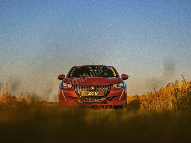 2015 Peugeot 2008 Comfort — Bakımları Yeni — fotoğraf 2