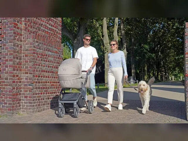 Bebek Arabası · Pendik — İkinci El, Garantili