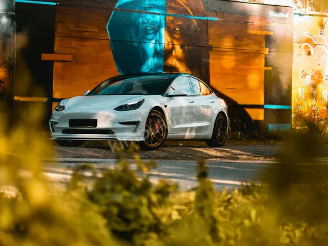 2013 Tesla Titanium — Değişensiz — fotoğraf 2