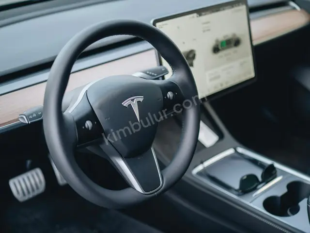 2018 Tesla Executive — Masrafsız