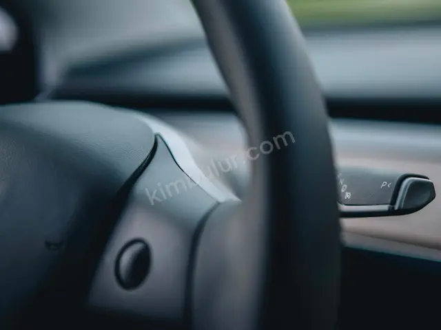 2016 Tesla Sport — Ekspertiz Raporlu — fotoğraf 2
