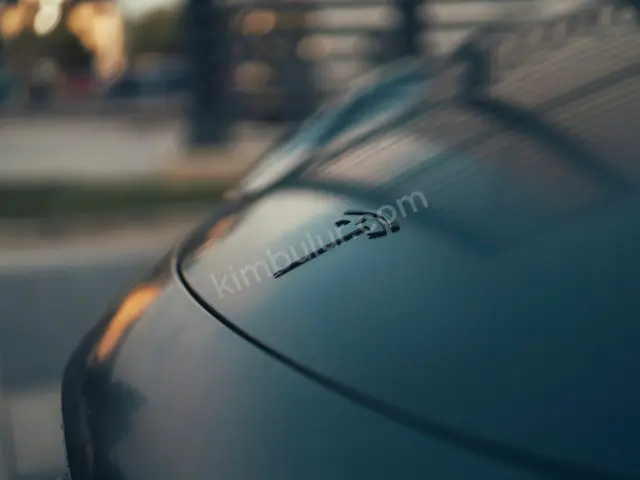 2024 Tesla Model Y Urban — Değişensiz — fotoğraf 2
