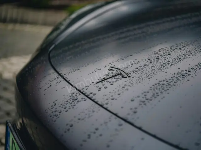 2018 Tesla Executive — Masrafsız — fotoğraf 2
