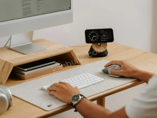 Webcam & Mikrofon — İkinci El, Temiz
