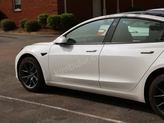 2020 Tesla Model 3 Prestige — Bakımları Yeni